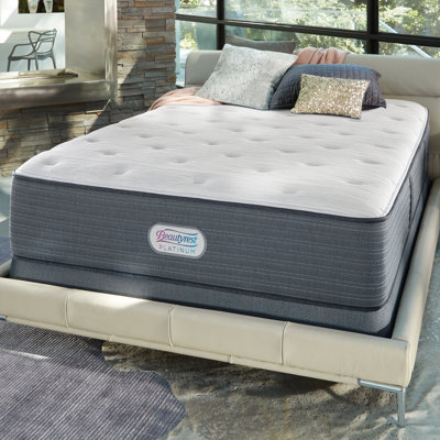 Plush Pillow Pillow Top Hybrid Mattress Mattress